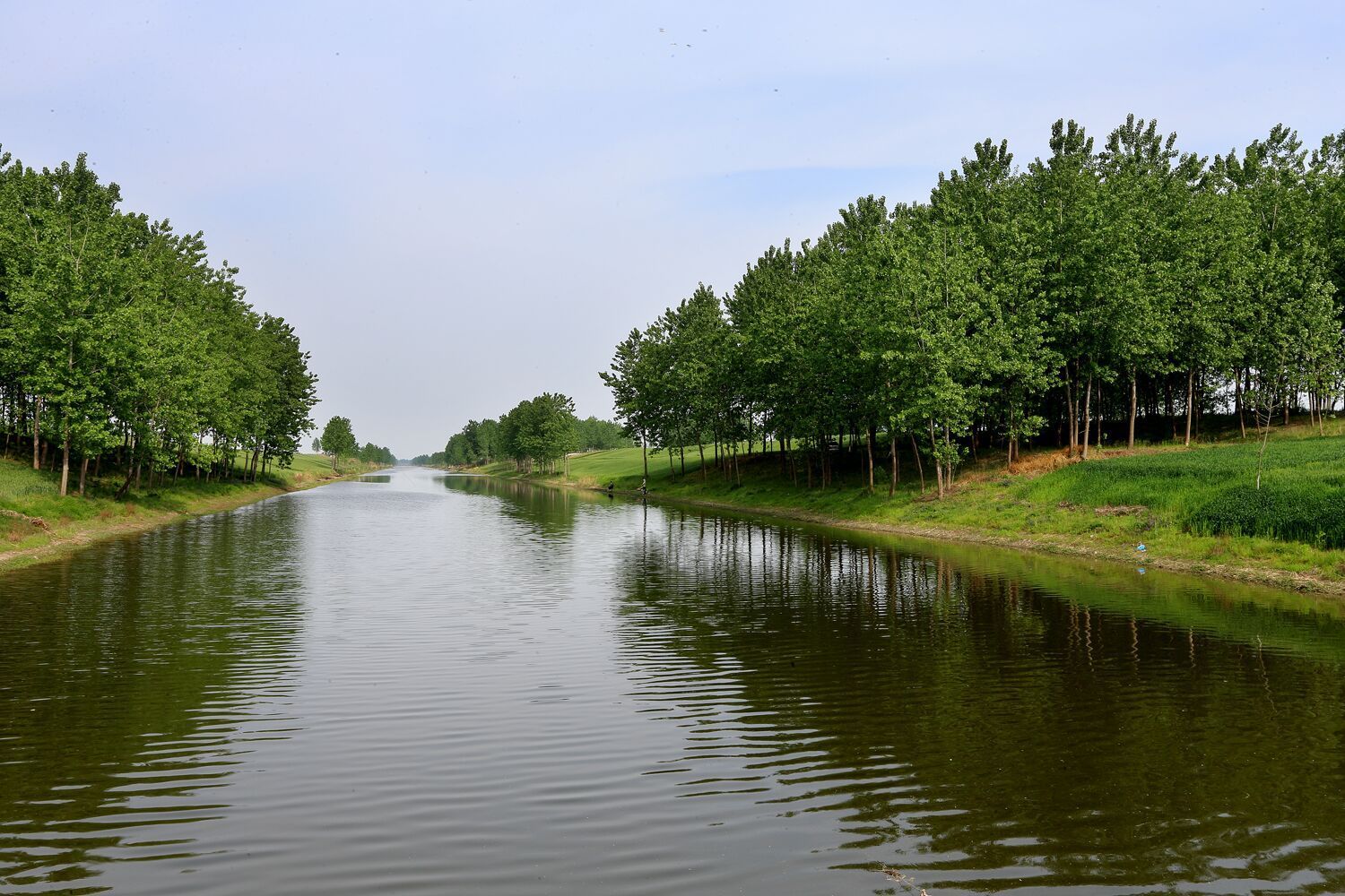 宿迁农村生态河道覆盖率到2025年不低于65