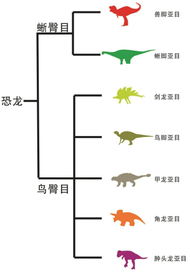 恐龙分类位置图