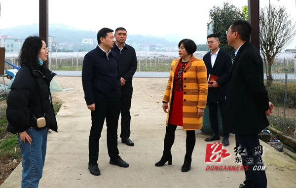 东安唐何到鹿马桥镇调研乡村振兴工作