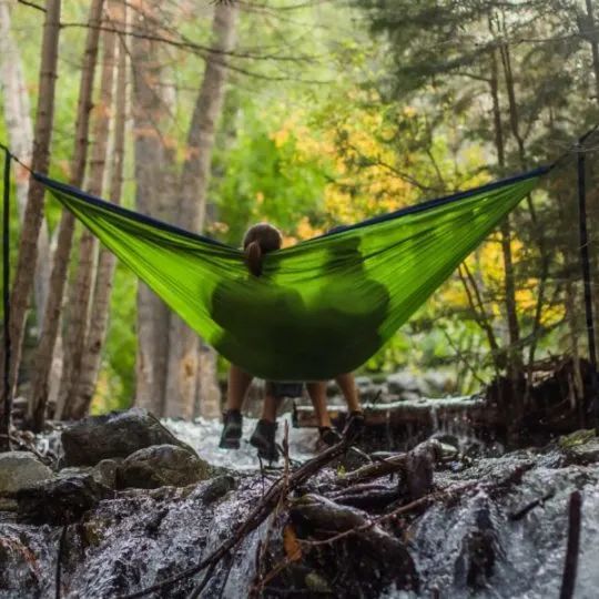 他们还将森林浴定义为生活必须时刻,是需要从日常生活和例行公事的