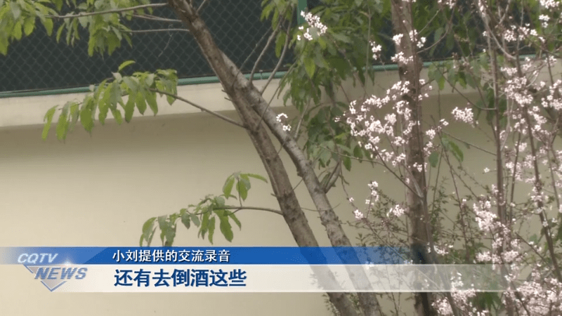 热搜第一！女子拒绝下班后应酬被辞退，公司：行政工作就要搞好接待！【930新闻眼】休闲区蓝鸢梦想 - Www.slyday.coM