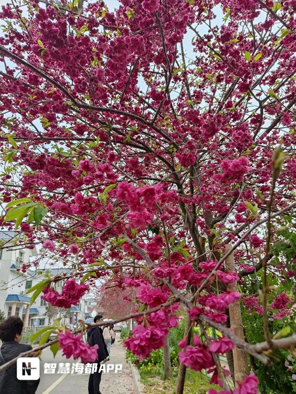 莆田景点大全排行榜_太棒了!又有两处景区上榜福建省4A级旅游景区名单!(2)