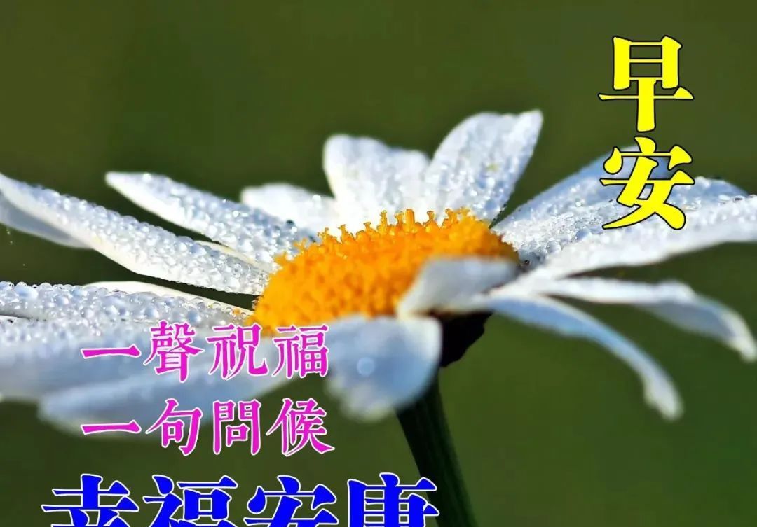 朋友圈清晨问候祝福图片带字早安问候语录最新祝福短信