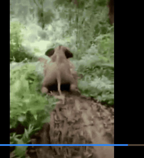 30张活久未见的照片,马偷吃小鸡被母鸡发现,这是真正的马杀鸡休闲区蓝鸢梦想 - Www.slyday.coM 30张活久未见的照片,马偷吃小鸡被母鸡发现,这是真正的马杀鸡休闲区蓝鸢梦想 - Www.slyday.coM