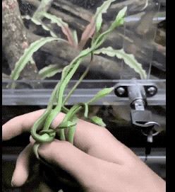 30张活久未见的照片,马偷吃小鸡被母鸡发现,这是真正的马杀鸡休闲区蓝鸢梦想 - Www.slyday.coM 30张活久未见的照片,马偷吃小鸡被母鸡发现,这是真正的马杀鸡休闲区蓝鸢梦想 - Www.slyday.coM