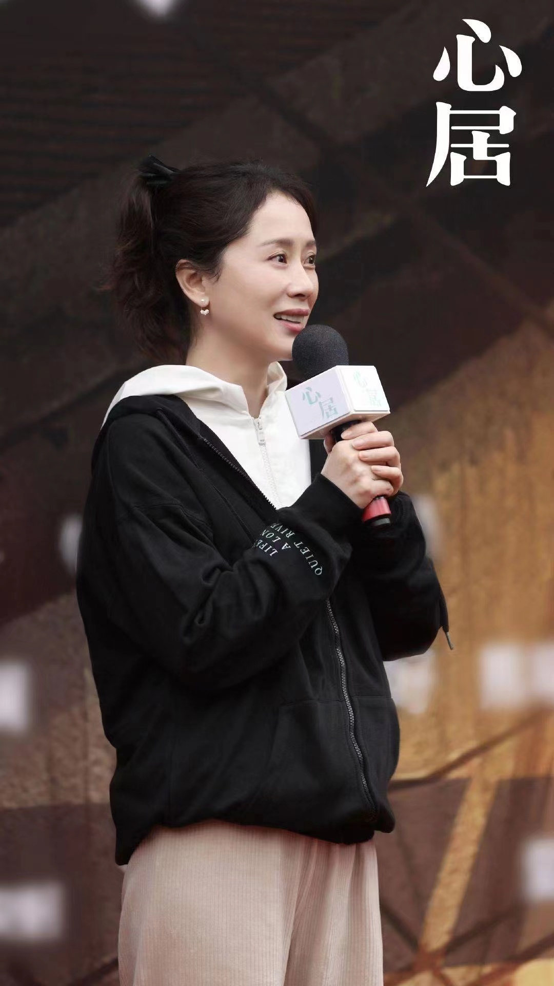 由海清主演电视剧心居情感冲突版预告释出