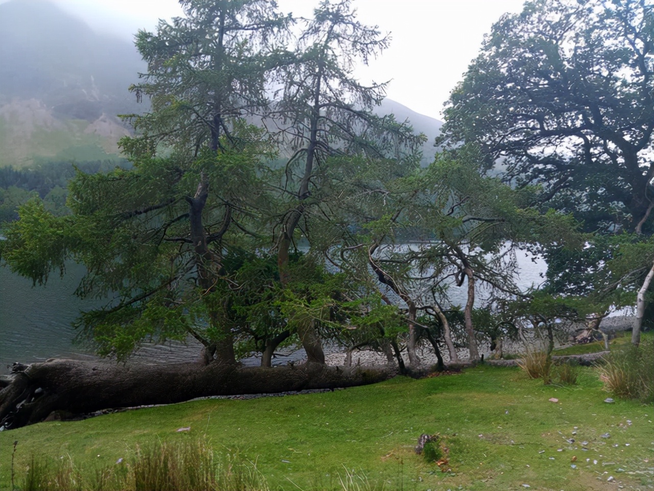 30张活久未见的照片,马偷吃小鸡被母鸡发现,这是真正的马杀鸡休闲区蓝鸢梦想 - Www.slyday.coM 30张活久未见的照片,马偷吃小鸡被母鸡发现,这是真正的马杀鸡休闲区蓝鸢梦想 - Www.slyday.coM