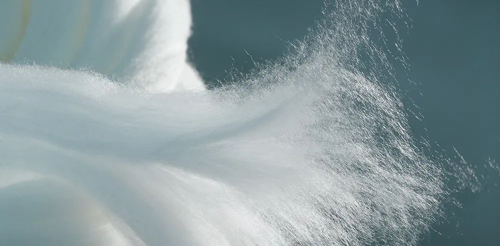 兰精集团成功在泰国开设全球最大莱赛尔纤维工厂|疫情|莱赛尔|纤维