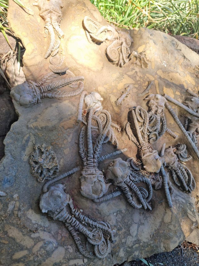 30张活久未见的照片,马偷吃小鸡被母鸡发现,这是真正的马杀鸡休闲区蓝鸢梦想 - Www.slyday.coM 30张活久未见的照片,马偷吃小鸡被母鸡发现,这是真正的马杀鸡休闲区蓝鸢梦想 - Www.slyday.coM