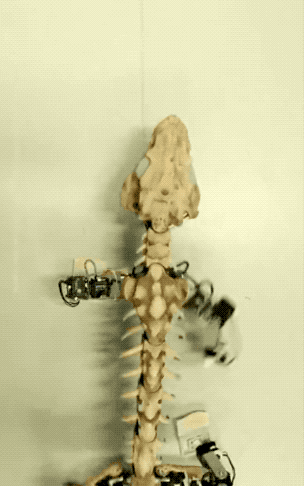 30张活久未见的照片,马偷吃小鸡被母鸡发现,这是真正的马杀鸡休闲区蓝鸢梦想 - Www.slyday.coM 30张活久未见的照片,马偷吃小鸡被母鸡发现,这是真正的马杀鸡休闲区蓝鸢梦想 - Www.slyday.coM