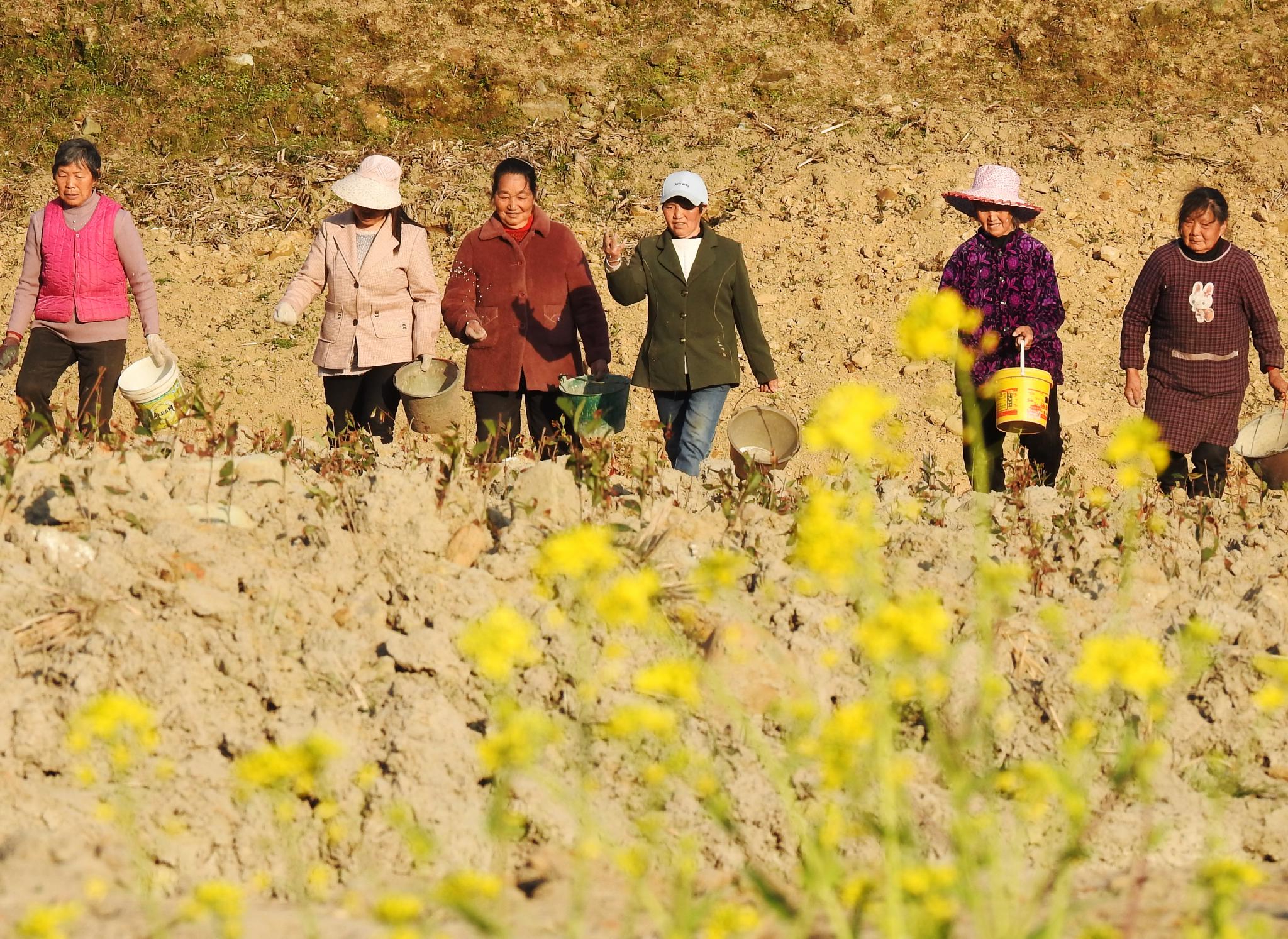 耕种在希望的田野上|新华社|农民|无人机_新浪新闻