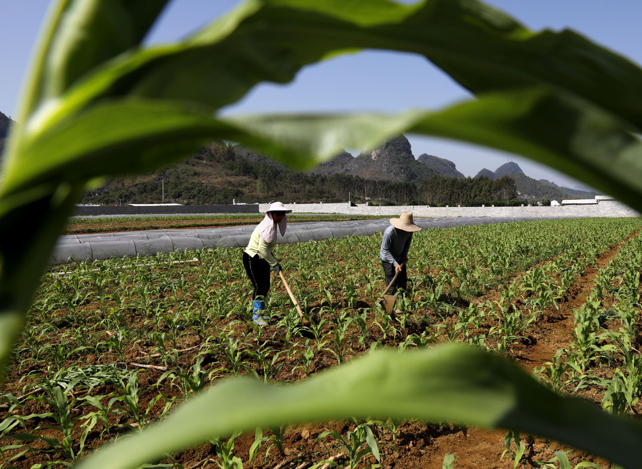 耕种在希望的田野上|新华社|农民|无人机_新浪新闻