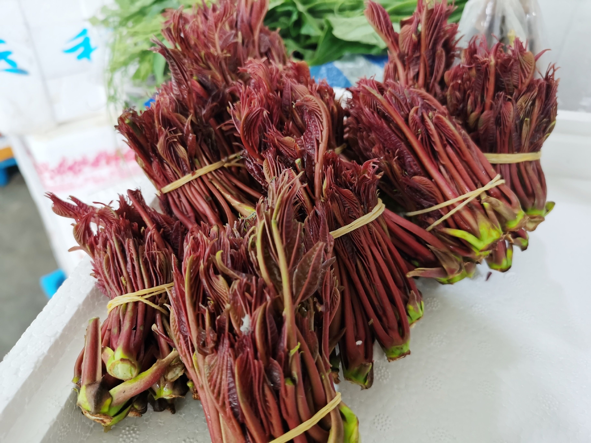 气温回升春菜大量上市露地香椿价格降了13