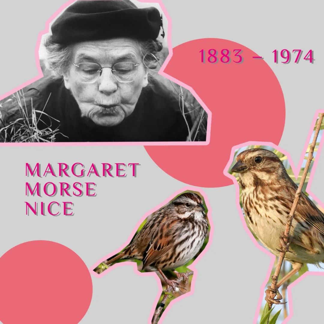 改变世界的8项研究 你了解几个？