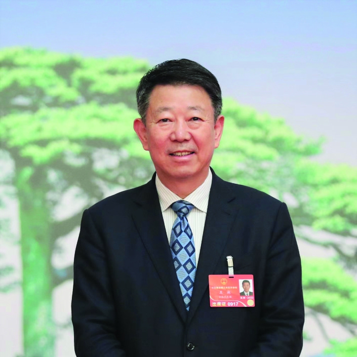 为双碳目标扛起使命担当访全国人大代表海螺集团董事长王诚