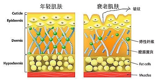 深度揭秘（护肤品真的能抗衰老吗知乎）知乎护肤品真的可以延缓衰老吗，知乎这个关于抗衰的问题火了！真正有效的「抗衰秘籍」,你学会了吗?，戒色头发会恢复吗知乎文章，