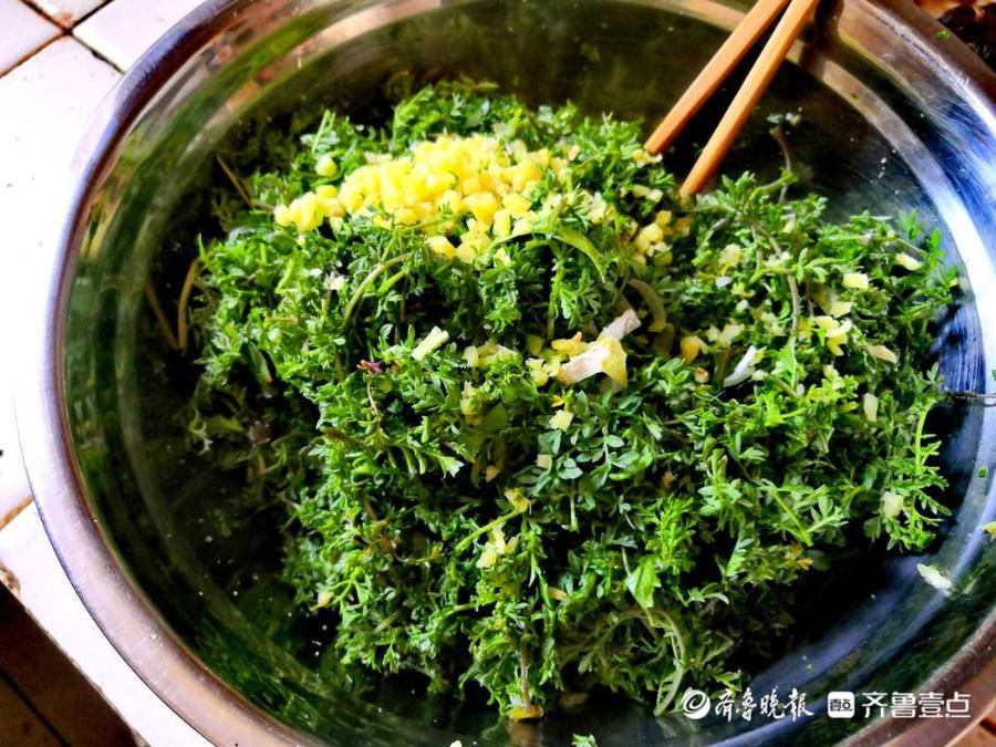 3月8日最佳情报休闲区蓝鸢梦想 - Www.slyday.coM