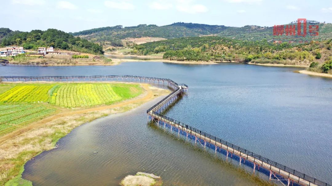 马步水库上建起了步行栈道下金田屯的湖光山色太美了!