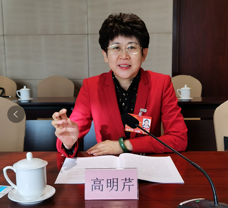 全国人大代表高明芹建议：尽快制定行业标准，推动预制菜业健康发展休闲区蓝鸢梦想 - Www.slyday.coM