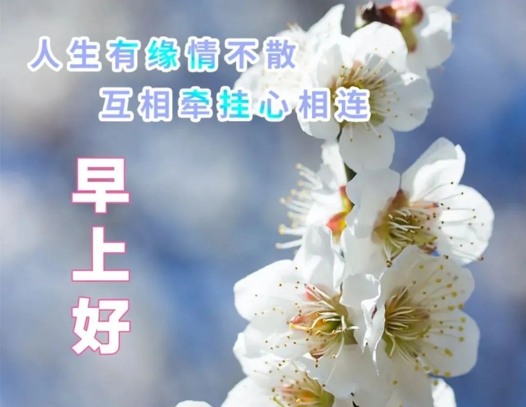 有创意的春天早安问候表情图片.唯美的早安祝福语句子 - 诗词名句网