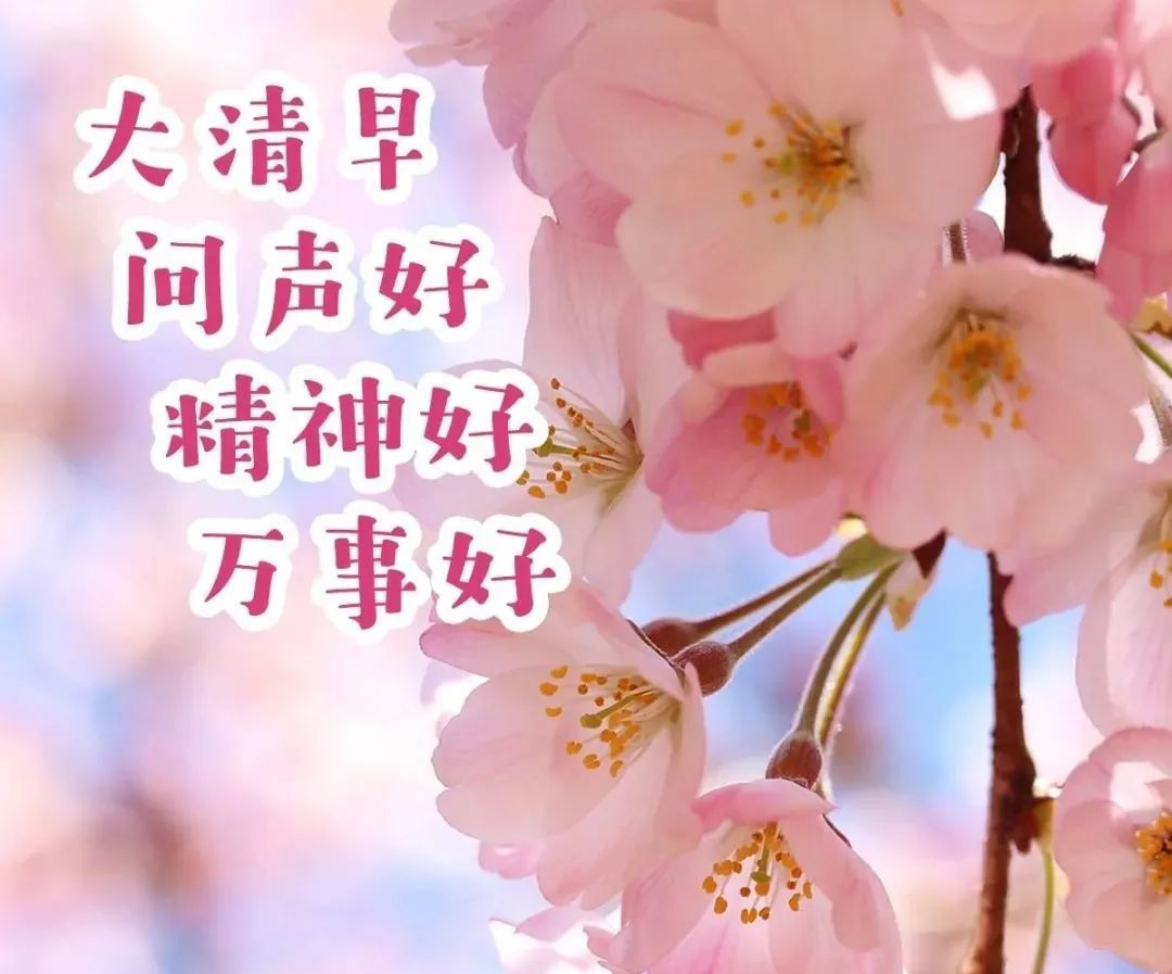 有创意的春天早安问候表情图片.唯美的早安祝福语句子 - 诗词名句网