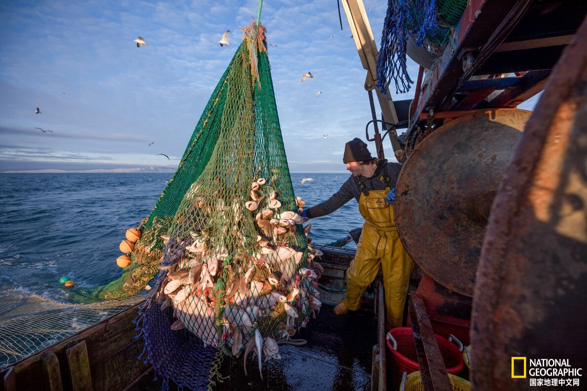 我们能阻止过度捕捞吗