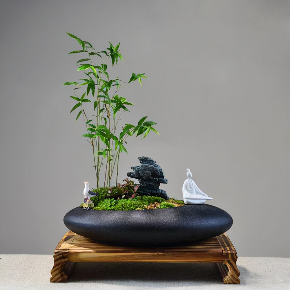 独具竹韵的竹盆景养在书房比花好看制作不难从选择品种开始