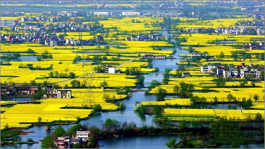 春游踏青丨这才是芜湖春天正确的打开方式!休闲区蓝鸢梦想 - Www.slyday.coM 春游踏青丨这才是芜湖春天正确的打开方式!休闲区蓝鸢梦想 - Www.slyday.coM