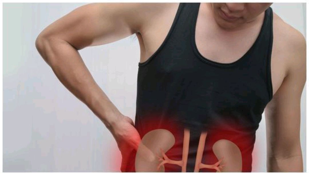 春天怎么养肾?建议正确打开身体的一处“补肾开关”,温肾又补气休闲区蓝鸢梦想 - Www.slyday.coM 春天怎么养肾?建议正确打开身体的一处“补肾开关”,温肾又补气休闲区蓝鸢梦想 - Www.slyday.coM