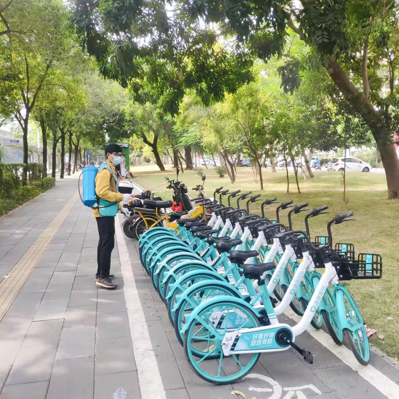 42万共享单车消杀全覆盖深圳市民请放心骑行