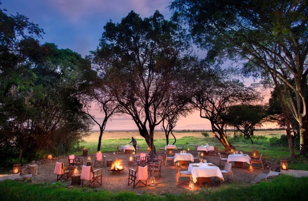 rr·lifestyle丨穿越原野,探索非洲野奢营地__财经头条