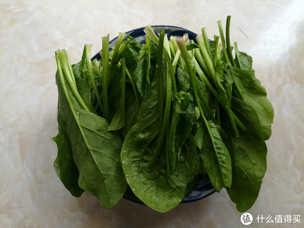 菠菜虽然营养，但不能乱吃，菠菜的食用禁忌要记牢，附6种做法休闲区蓝鸢梦想 - Www.slyday.coM