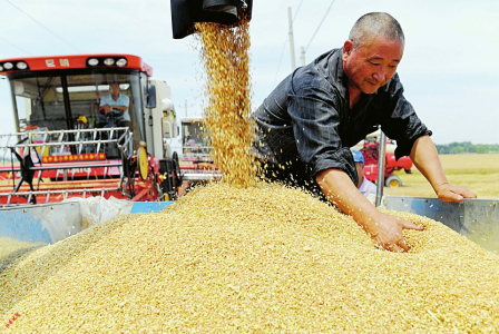 今年5.5%左右经济增速目标能实现吗？休闲区蓝鸢梦想 - Www.slyday.coM