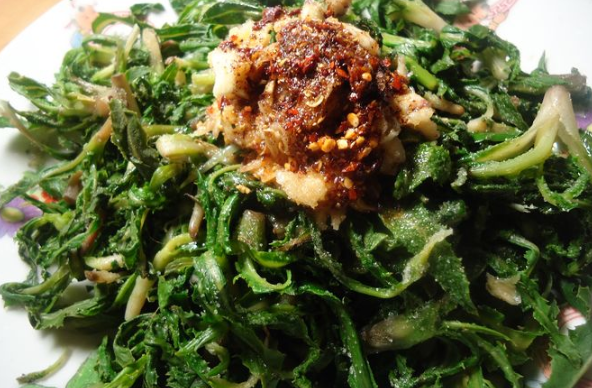 春天曲麦菜其实是个宝用它来泡水喝或能解决3个问题