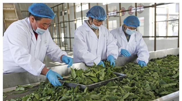 三星堆青铜神树原型应是马桑树,可从羌族传说找到线索休闲区蓝鸢梦想 - Www.slyday.coM