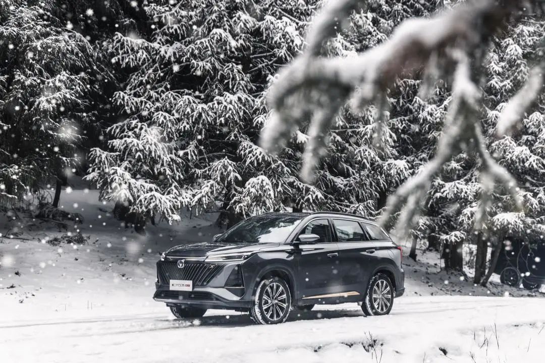 国产SUV卷起来！15万出头配2.0T+大连屏，合资哭了！