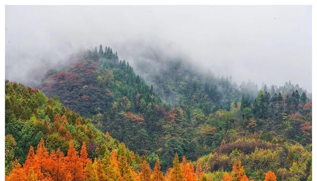 三星堆青铜神树原型应是马桑树,可从羌族传说找到线索休闲区蓝鸢梦想 - Www.slyday.coM