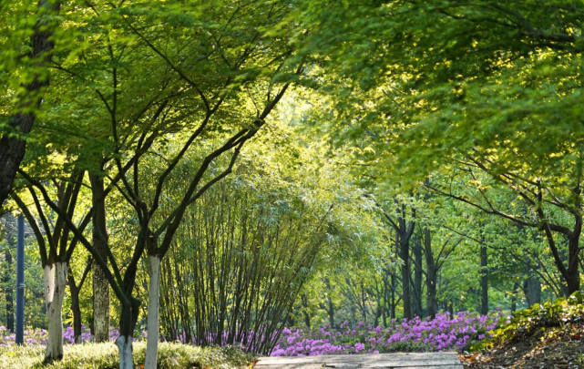 杭州适合赏春的3个景点,不收门票,遇见江南春色赏花赏人文两不误休闲区蓝鸢梦想 - Www.slyday.coM