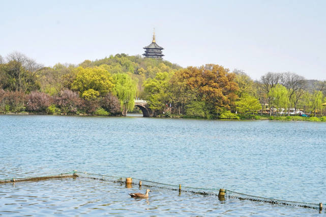 杭州适合赏春的3个景点,不收门票,遇见江南春色赏花赏人文两不误休闲区蓝鸢梦想 - Www.slyday.coM