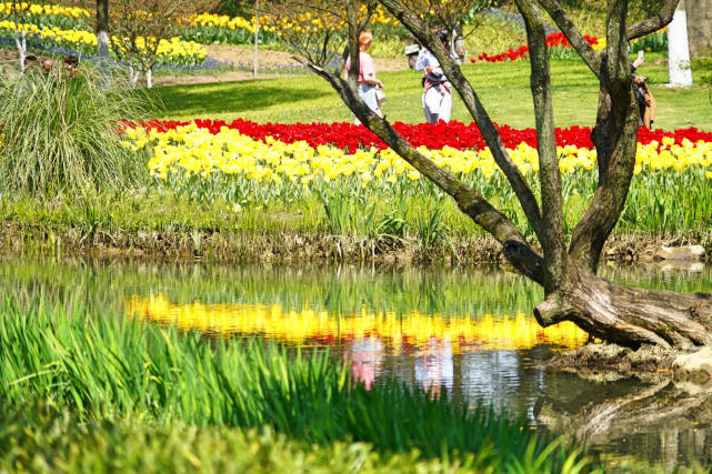 杭州适合赏春的3个景点,不收门票,遇见江南春色赏花赏人文两不误休闲区蓝鸢梦想 - Www.slyday.coM