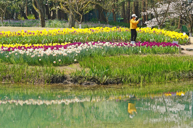 杭州适合赏春的3个景点,不收门票,遇见江南春色赏花赏人文两不误休闲区蓝鸢梦想 - Www.slyday.coM