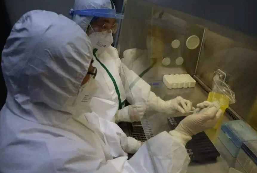 协和医院调查:120名康复者现状曝光,新冠“后遗症”有多恐怖?休闲区蓝鸢梦想 - Www.slyday.coM 协和医院调查:120名康复者现状曝光,新冠“后遗症”有多恐怖?休闲区蓝鸢梦想 - Www.slyday.coM