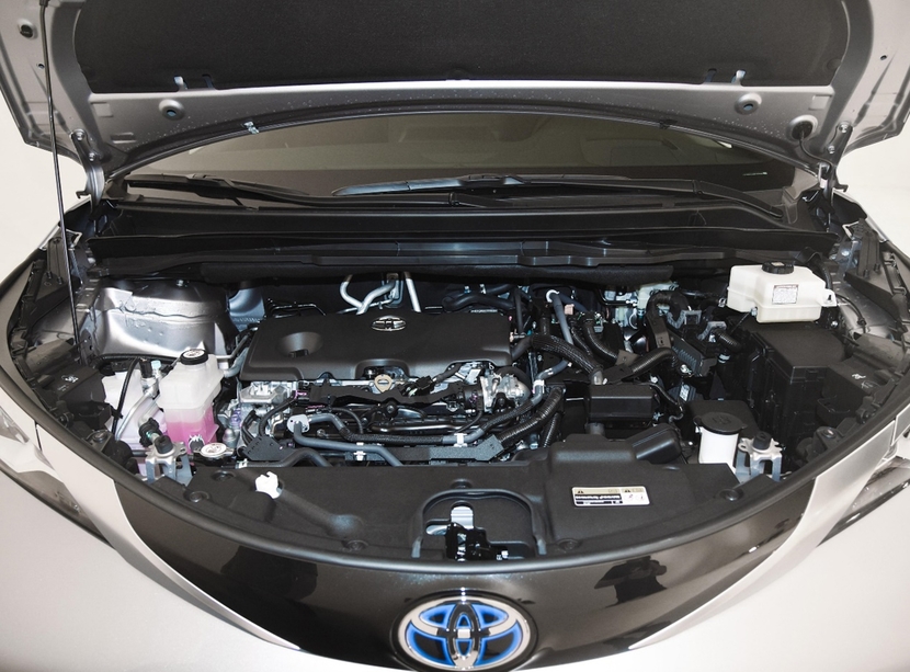 新威然全面对比赛那 谁是更好的选择？