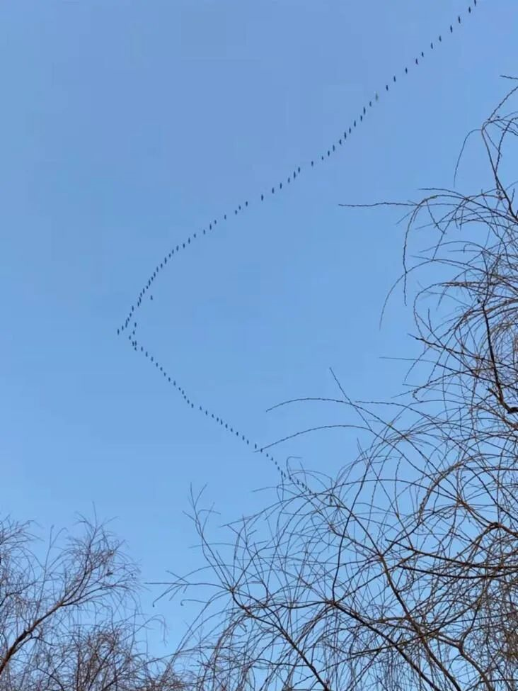 今天在路上看到小孩躺在路上，家长居然在旁边....休闲区蓝鸢梦想 - Www.slyday.coM