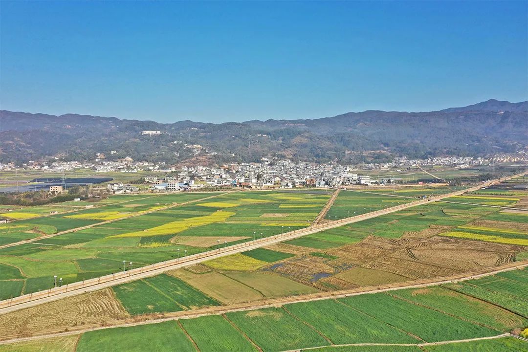 滇西粮仓保山市高标准农田建设实现新突破