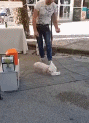 消之宝