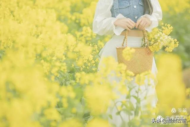 楠溪江陌上花开美如童话只等你来