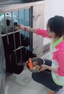 消之宝