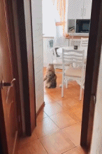 消之宝