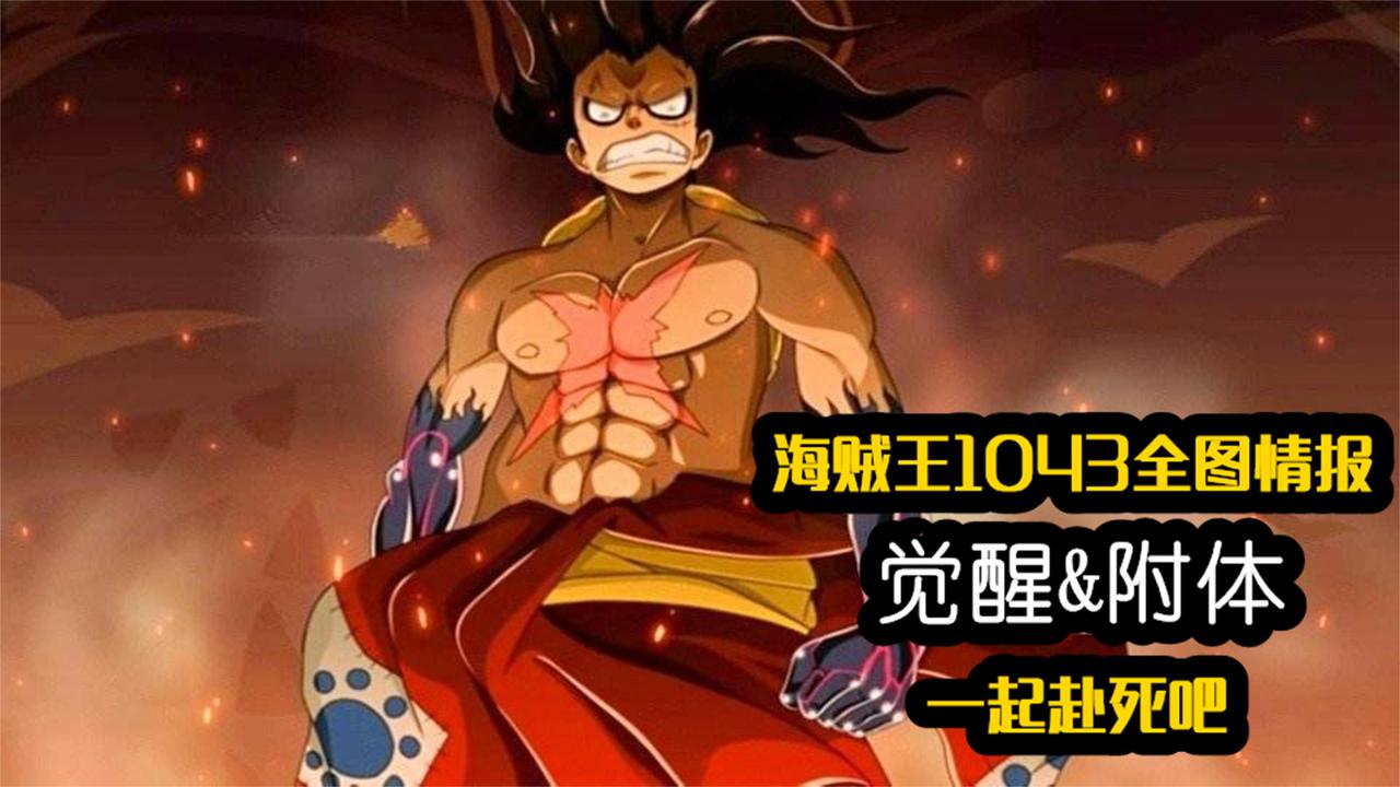 海贼王1043全图情报乔伊波伊归来路飞仰卧起坐觉醒